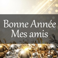 Bonne Année mes amis - Zouk