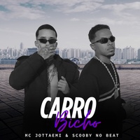 Carro Bicho