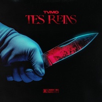 Tes Reins