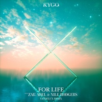 For Life (feat. Zak Abel & Nile Rodgers) (Vandelux Remix)