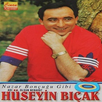 Ayrıldım Memleketten