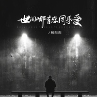 世间哪有感同身受(副歌版)