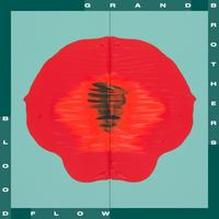 Bloodflow - Edit