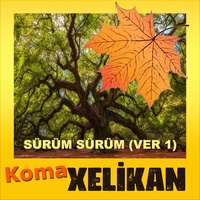 Sürüm Sürüm - Versiyon 1
