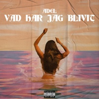 Vad har jag blivit
