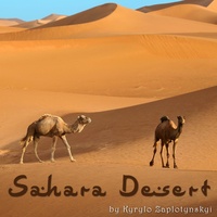 Sahara Desert