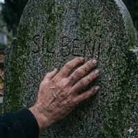 Sil beni