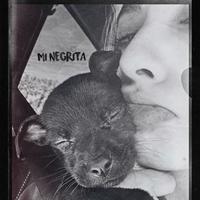 Mi Negrita