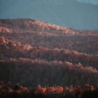 yes to heaven - slowed