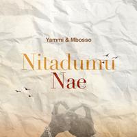 Nitadumu Nae Part-1