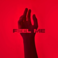 FEEL ME - SLOWED