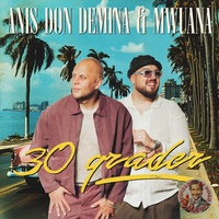 30 grader