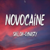 Novacaine