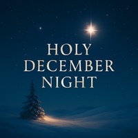 Holy December Night