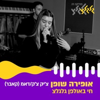 צ'יק צ'ק + דאמ - חי באולפן גלגלצ