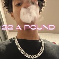 22 A POUND