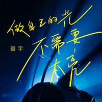 做自己的光,不需要太亮 - Dj沈念版