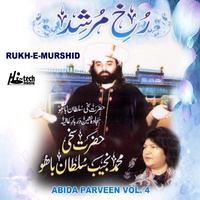 Mukhra Peer Najeeb da Vekheya