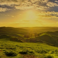 CUSTOMER'S APPRECIATION