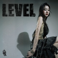 LEVEL