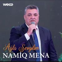 Nişanesen