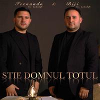 STIE DOMNUL TOTUL