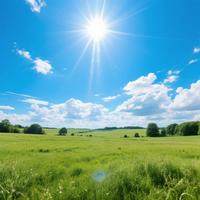 Día Soleado