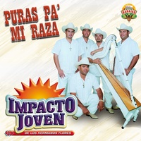 Pollitas De Cuenta