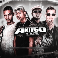 Artigo 33