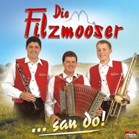 Volksmusik vom Alpenland