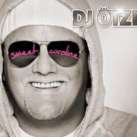 Sweet Caroline - Party Remix