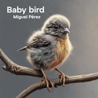 Baby bird