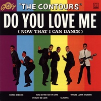 Do You Love Me - Mono Single