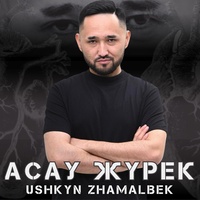 Асау жүрек