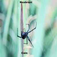 Nsabrani