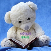 바퀴벌레