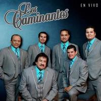 Solo los Tontos - En Vivo