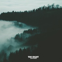 THE NIGHT
