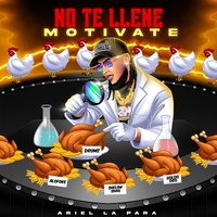 No Te Llene