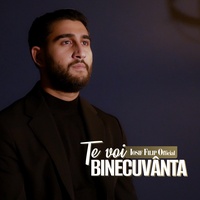 Te voi binecuvanta