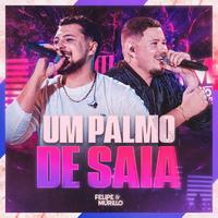 Um Palmo de Saia ((Ao Vivo))