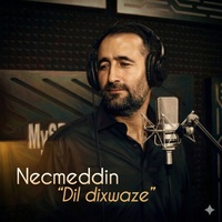 Dil dixwaze