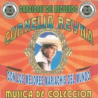 Botellitas