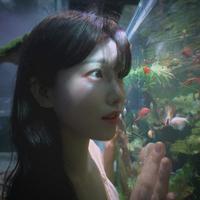 Swim