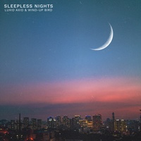 the night we met