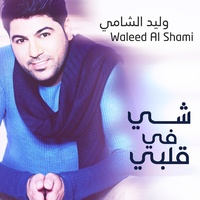 Shay Fee Galbi
