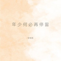 年少何必再停留 - 伴奏