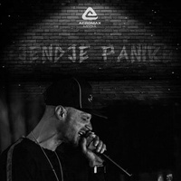 Gjendje Paniku