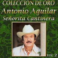 Ando Que Me Lleva