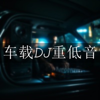 车载DJ重低音